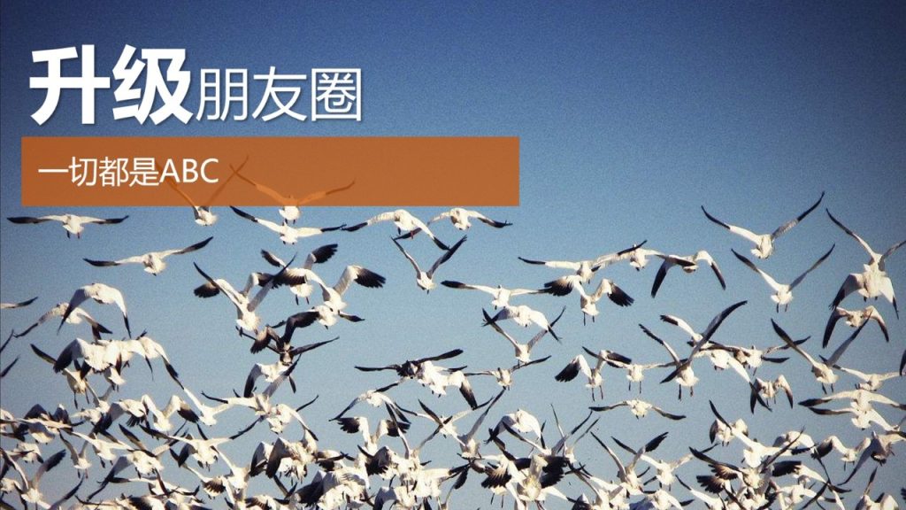 图片[10]-第四课 人脉拓展经营-新人通关课程优享社区-新人成功起步-优享健康生活社区