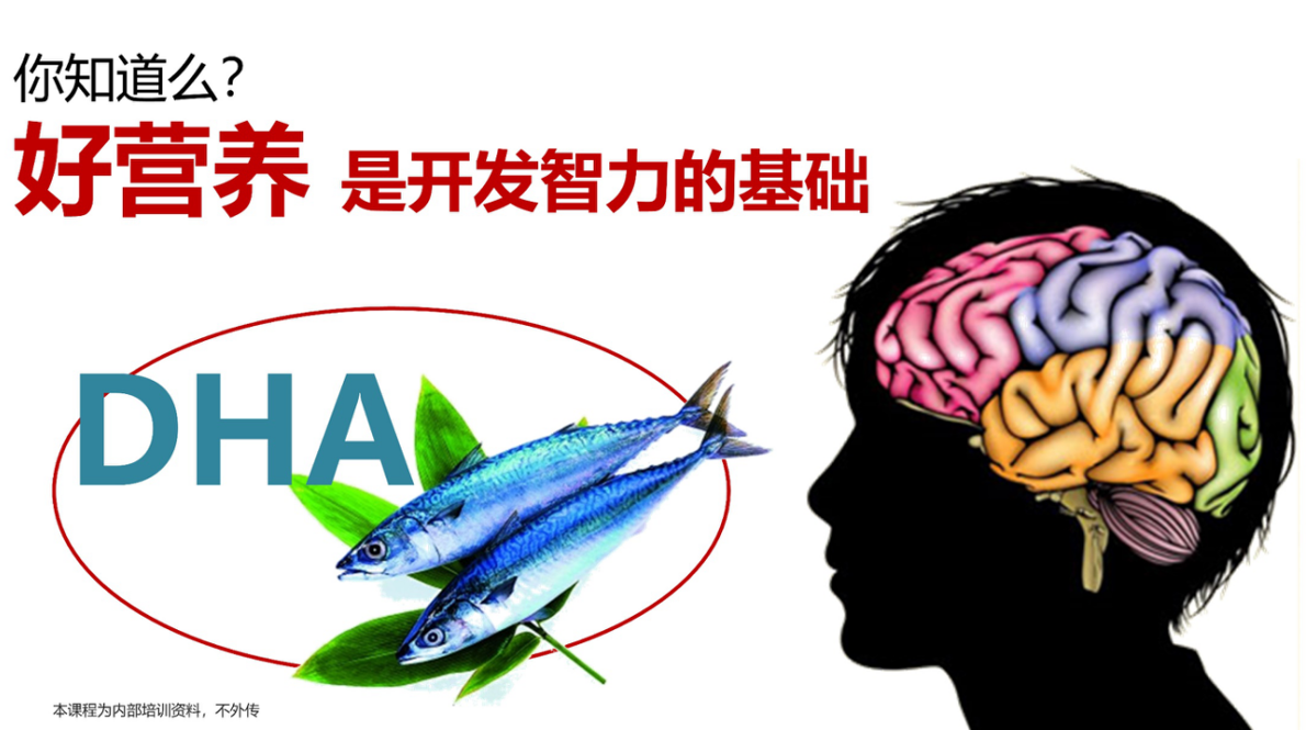 15、DHA-优享健康生活社区