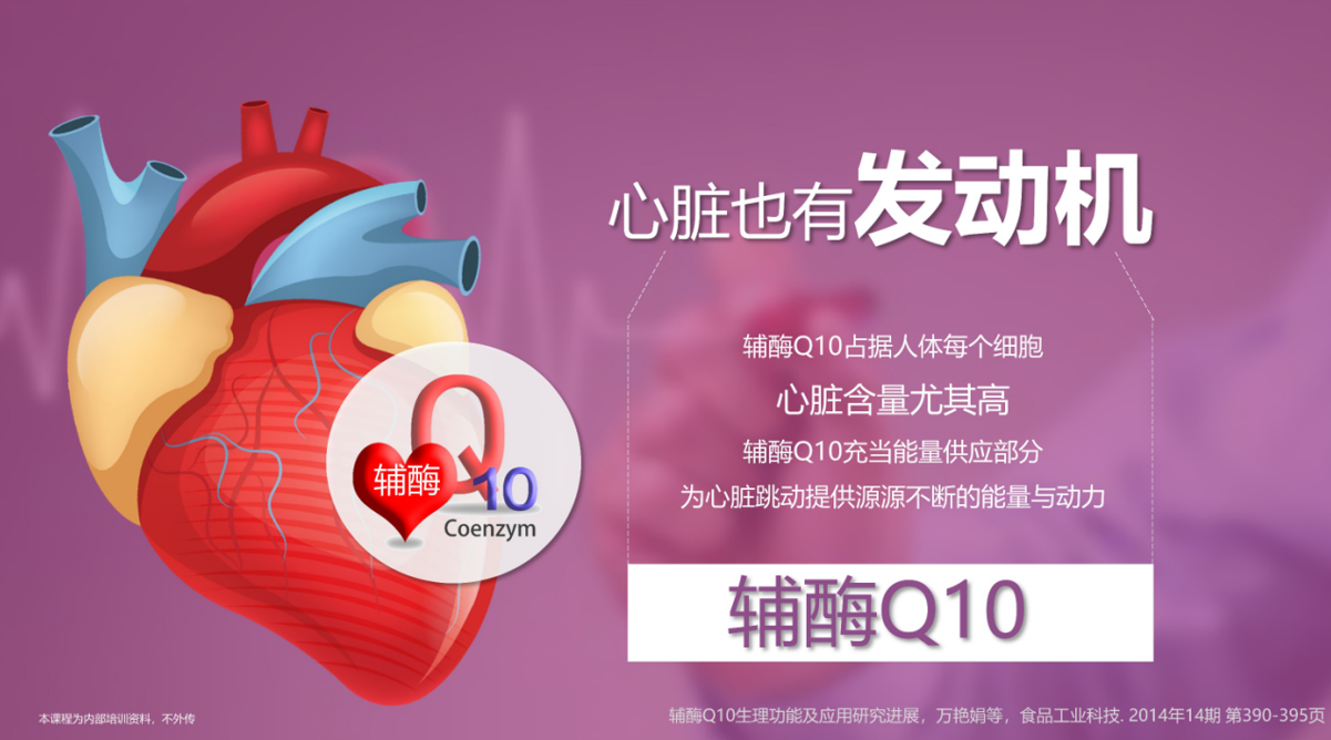 13、辅酶Q10-优享健康生活社区