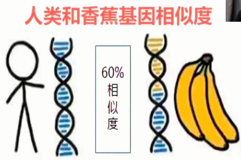 图片[11]-营养基因学—成海玲博士-减脂塑形优享社区-健康管理-优享健康生活社区