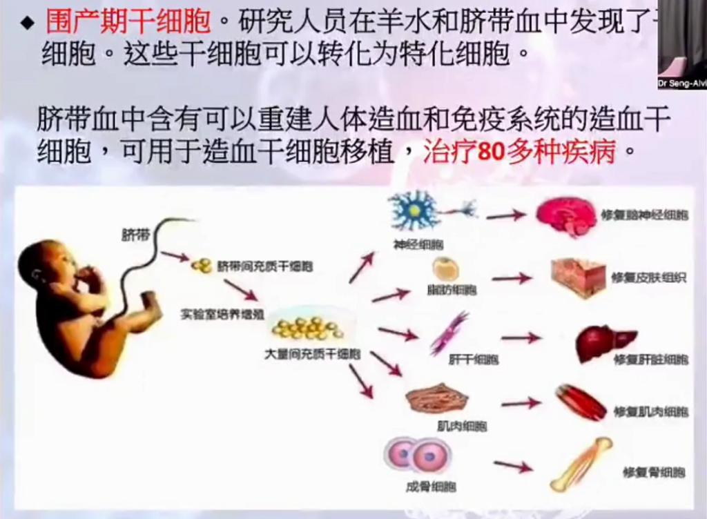 图片[14]-揭开干细胞的神秘面纱（成海玲博士）-减脂塑形优享社区-健康管理-优享健康生活社区