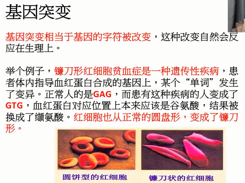 图片[15]-营养基因学—成海玲博士-减脂塑形优享社区-健康管理-优享健康生活社区