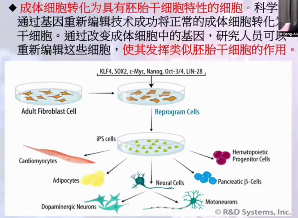 图片[17]-揭开干细胞的神秘面纱（成海玲博士）-减脂塑形优享社区-健康管理-优享健康生活社区
