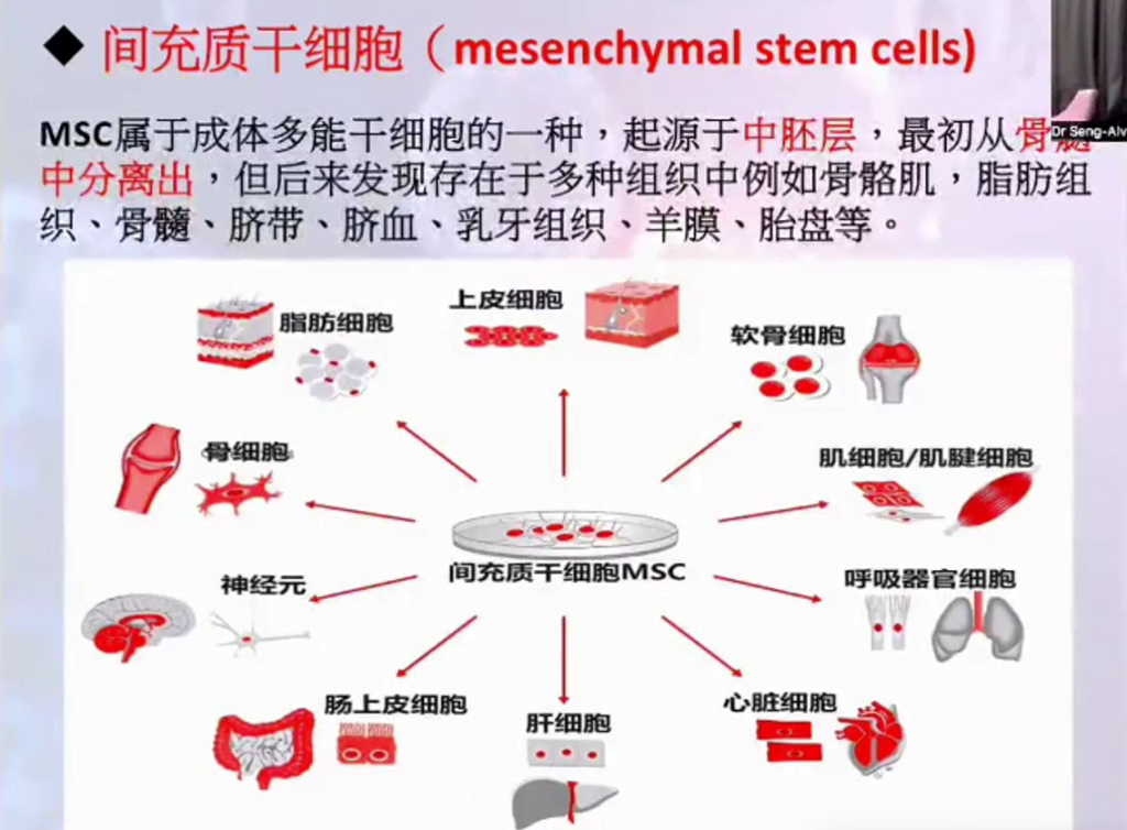 图片[18]-揭开干细胞的神秘面纱（成海玲博士）-减脂塑形优享社区-健康管理-优享健康生活社区