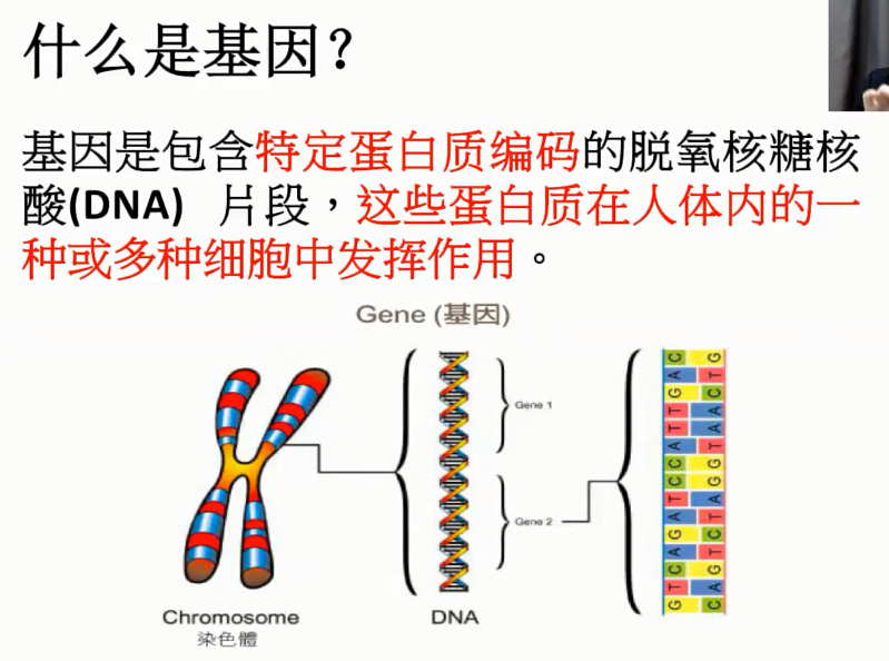 图片[2]-营养基因学—成海玲博士-减脂塑形优享社区-健康管理-优享健康生活社区