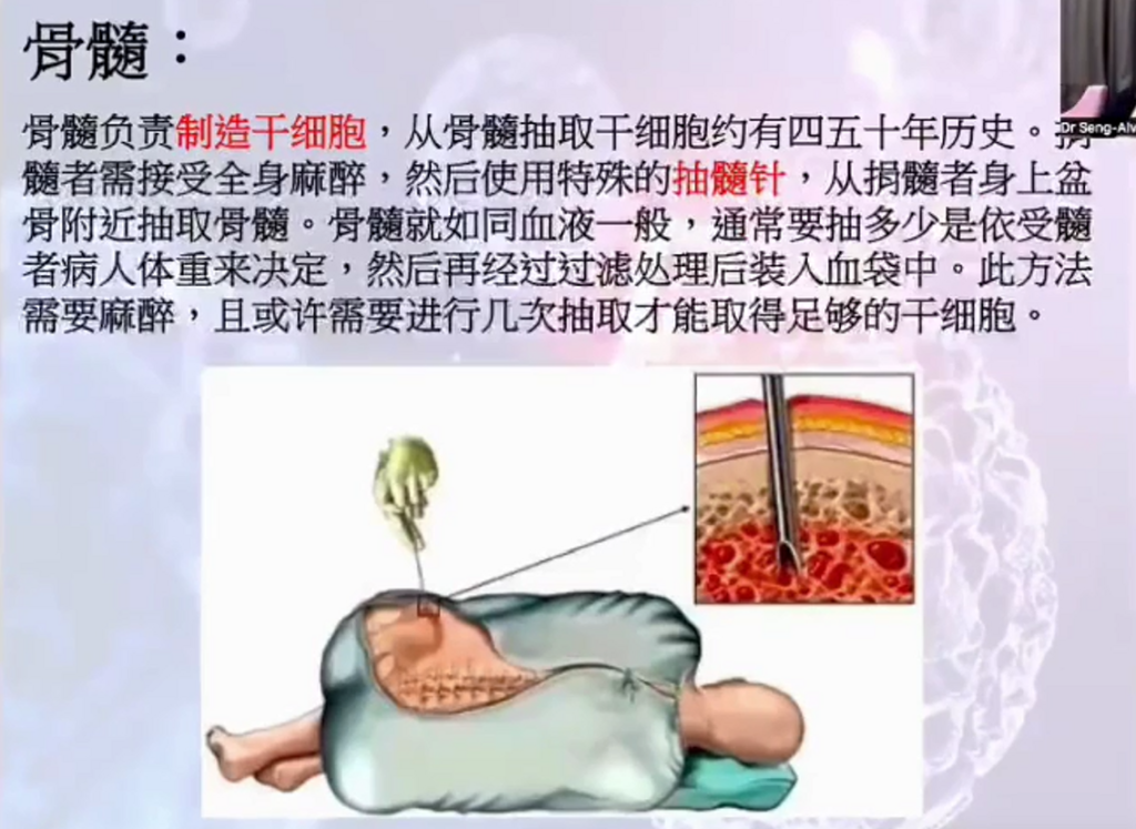 图片[20]-揭开干细胞的神秘面纱（成海玲博士）-减脂塑形优享社区-健康管理-优享健康生活社区