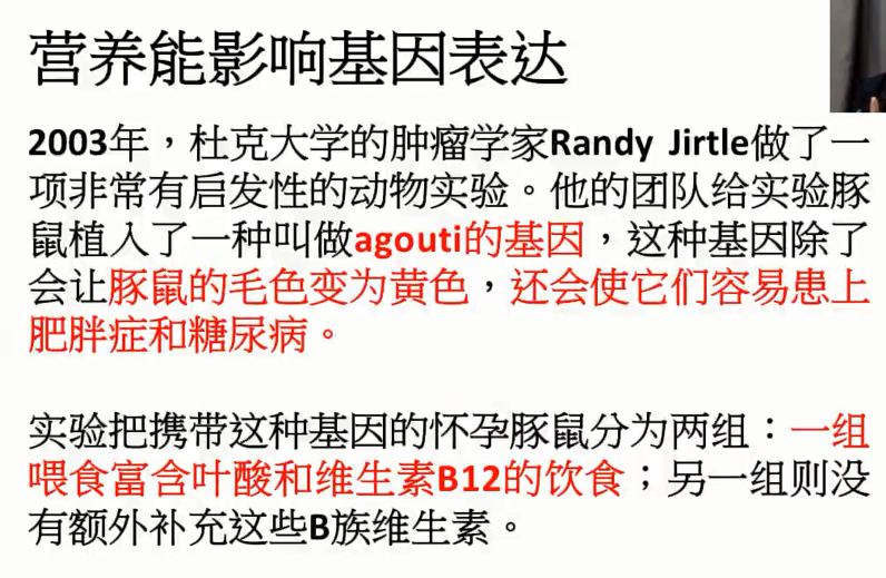 图片[21]-营养基因学—成海玲博士-减脂塑形优享社区-健康管理-优享健康生活社区