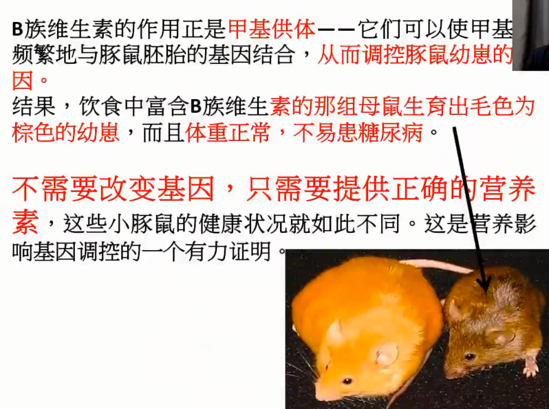 图片[23]-营养基因学—成海玲博士-减脂塑形优享社区-健康管理-优享健康生活社区