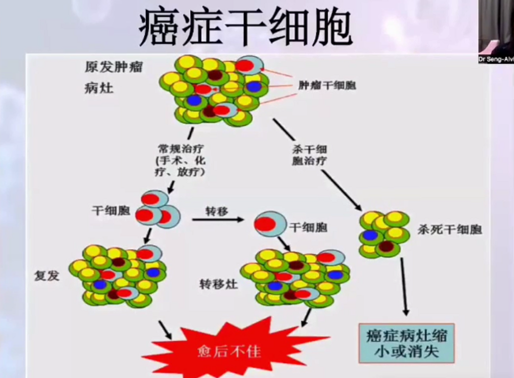 图片[26]-揭开干细胞的神秘面纱（成海玲博士）-减脂塑形优享社区-健康管理-优享健康生活社区
