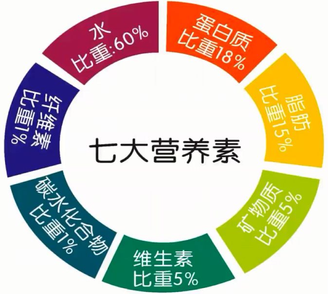 健康轻创业优享社区-健康轻创业兴趣圈子-健康管理-优享健康生活社区