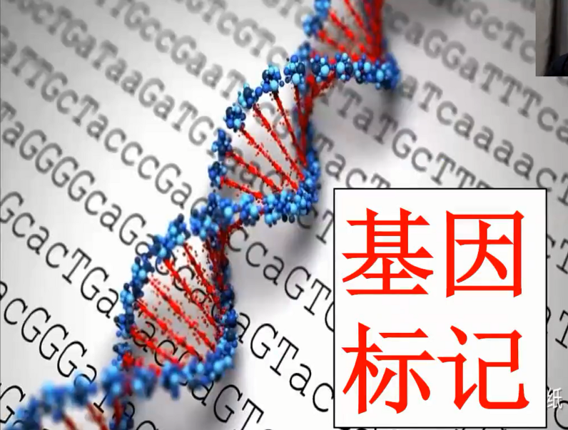 图片[30]-营养基因学—成海玲博士-减脂塑形优享社区-健康管理-优享健康生活社区