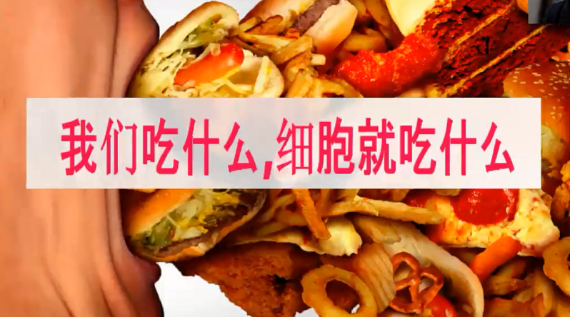 图片[33]-营养基因学—成海玲博士-减脂塑形优享社区-健康管理-优享健康生活社区