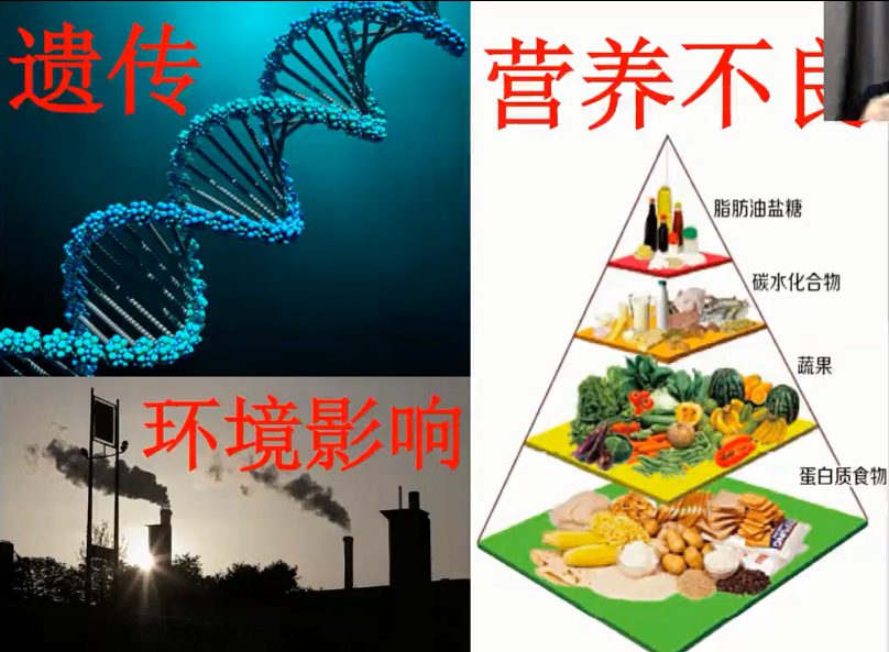 图片[34]-营养基因学—成海玲博士-减脂塑形优享社区-健康管理-优享健康生活社区