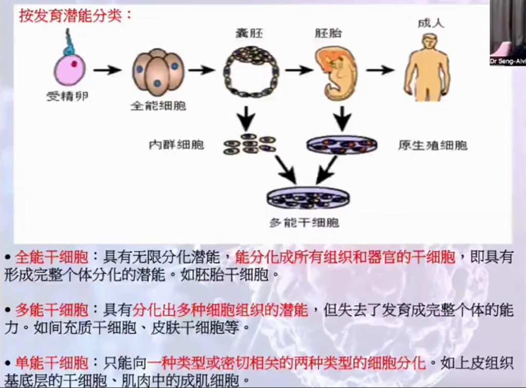 图片[6]-揭开干细胞的神秘面纱（成海玲博士）-减脂塑形优享社区-健康管理-优享健康生活社区