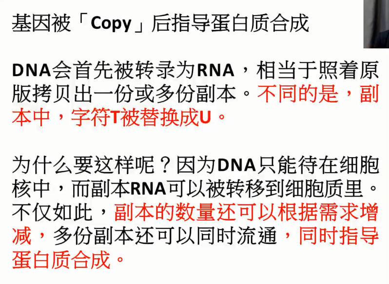图片[9]-营养基因学—成海玲博士-减脂塑形优享社区-健康管理-优享健康生活社区