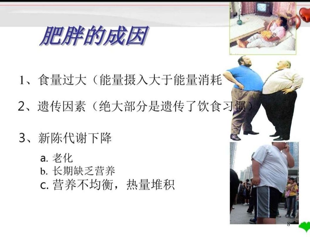 图片[4]-1、一胖毁所有—肥胖与慢病-慢病营养干预师培训优享社区-学习、成长-优享健康生活社区