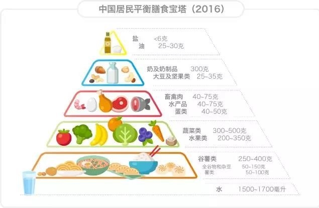 图片[5]-1、一胖毁所有—肥胖与慢病-慢病营养干预师培训优享社区-学习、成长-优享健康生活社区